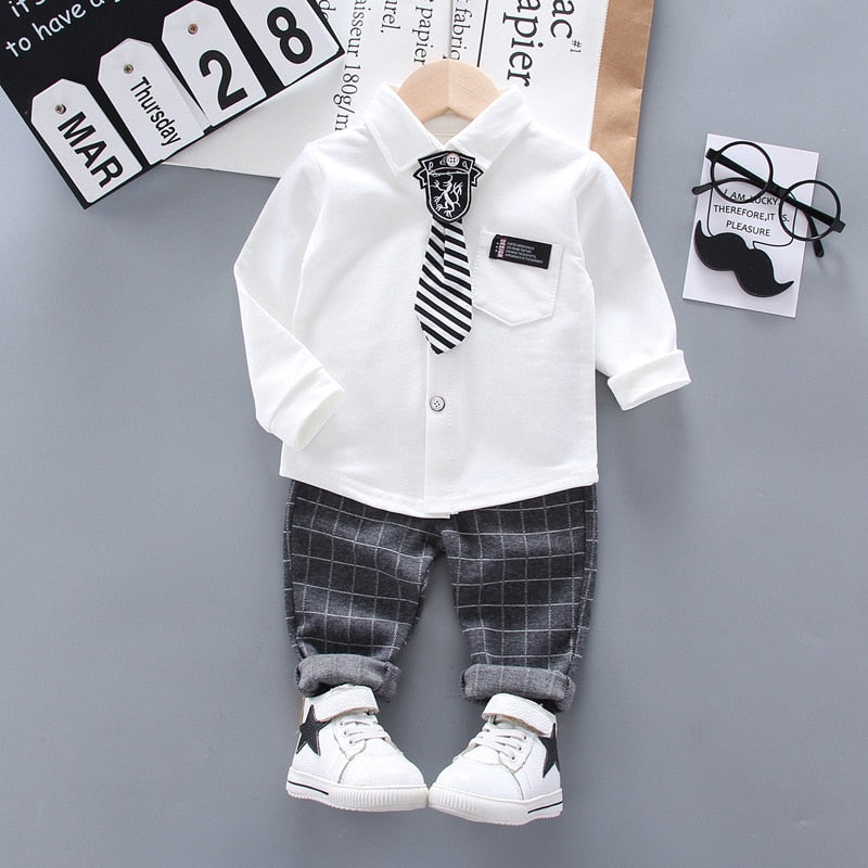 Boys  Summer Suit